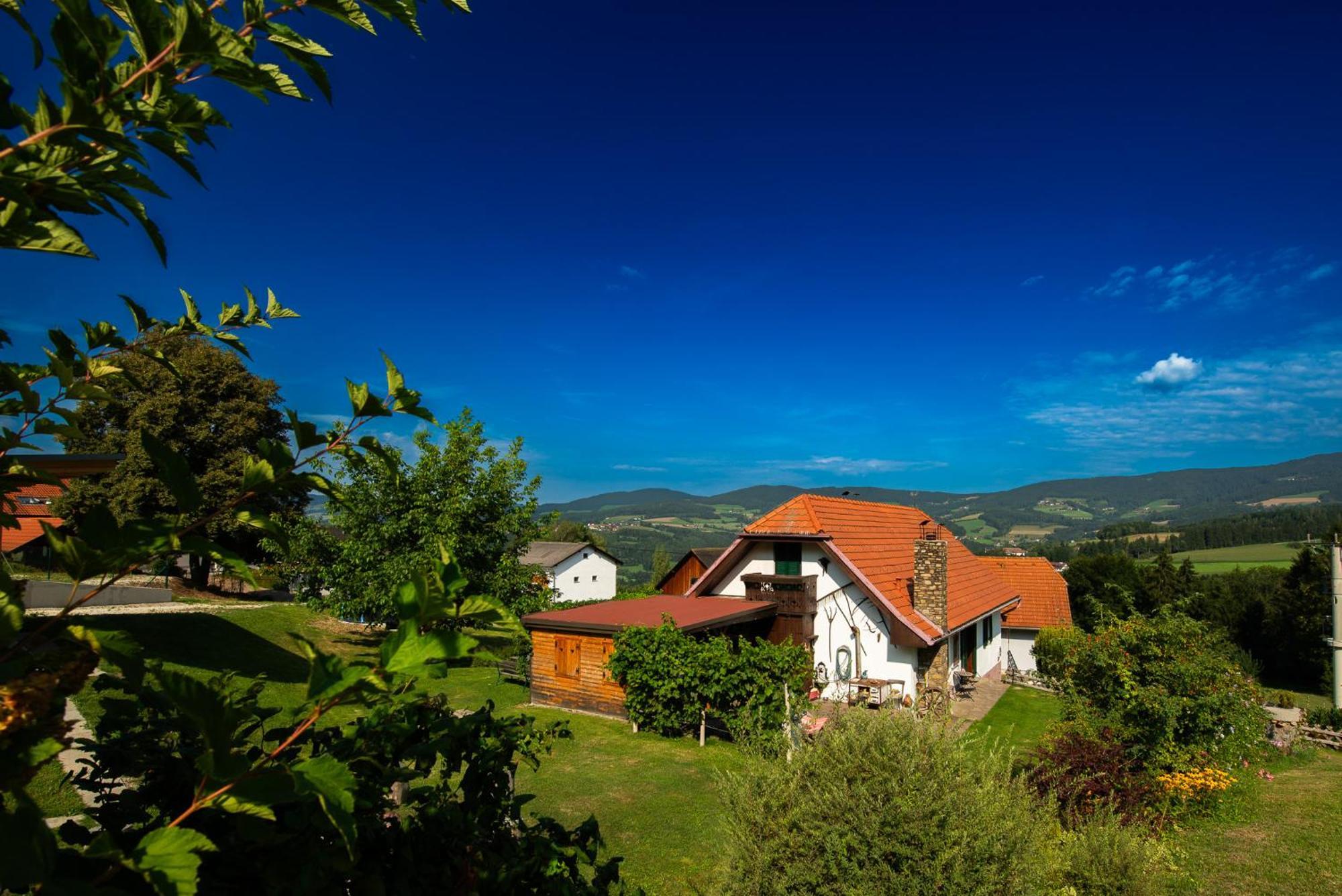 Ferienhaus Mooshoef Pöllauberg Extérieur photo
